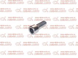 Болт суппорта BPW M12x2 54/44