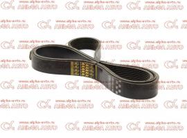 Ремень   8PK2585