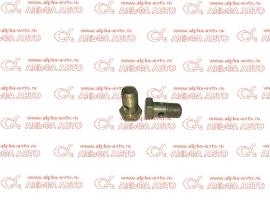 Болт крепления шланга ГУР ГАЗ-3309 Д-245 8*30