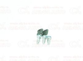 Личинки замков дверей ГАЗ 31105 в сборе