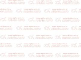 Брызговик 27х66 HYUNDAI узкий