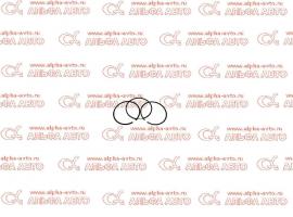 Кольца поршневые MAN D2066 d120 3.5x3x4 комплект